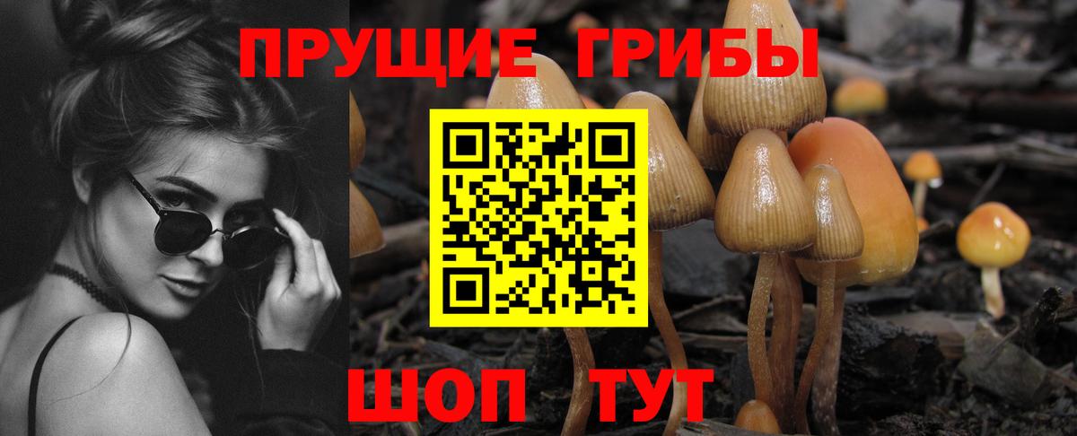 Галлюциногенные грибы ЛСД  магазин  наркотиков  Орёл  Вход с VPN 